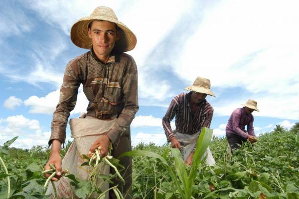 Reforma Previdenciária vai desestimular jovens agricultores, diz Fetag