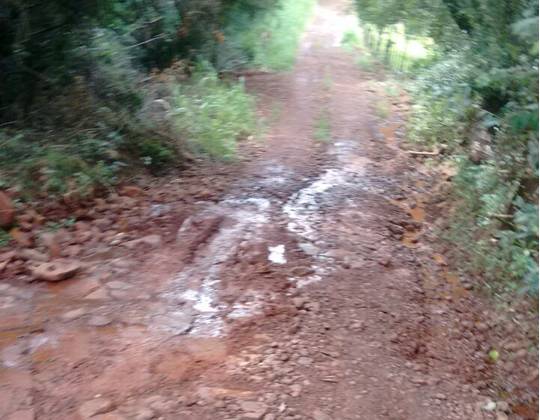Agricultores denunciam abandono de uma estrada no distrito de Progresso