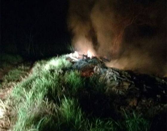 Bombeiros combatem incêndios provocados por vândalos em Três de Maio