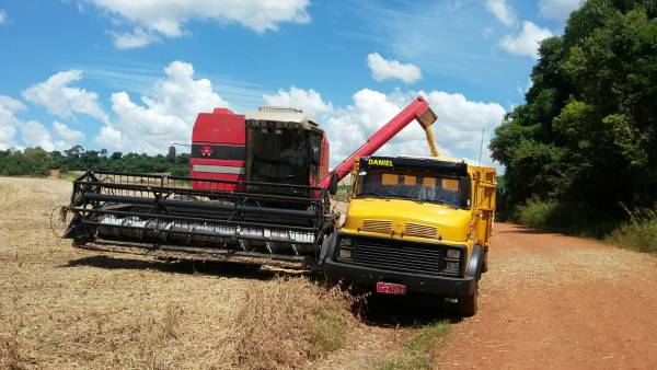 Produtores de soja estão colhendo em média 60 sacas por hectare