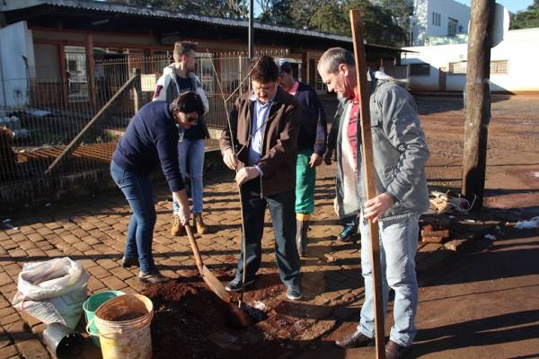 Prefeitura inicia plantio de árvores de acordo com Plano de Arborização