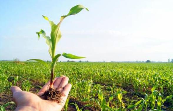 Dia para celebrar a importância da agricultura