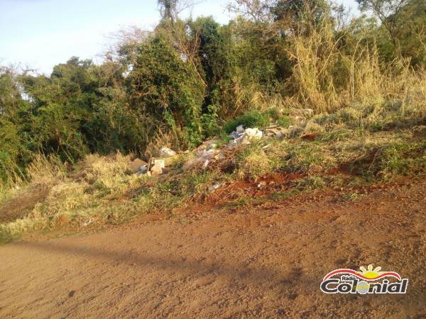 VÍDEO; Homem é flagrado descartando lixo nos fundos da Área Industrial de Três de Maio