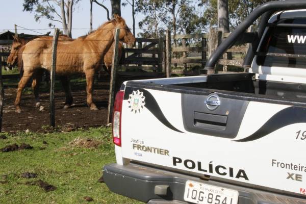 Combate ao Abigeato: Santiago terá Delegacia Especializada em Crimes Rurais