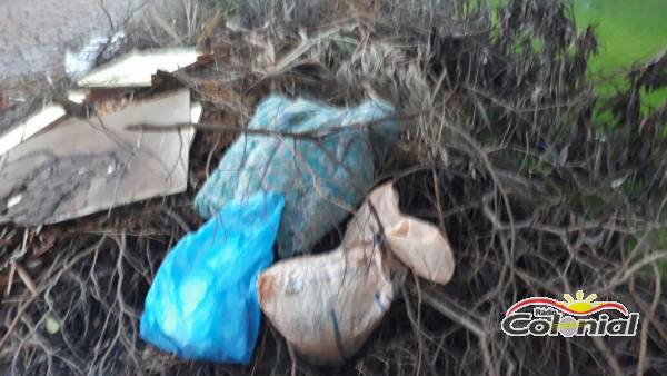 Lixo é misturado em montes de galhos nas ruas de Três de Maio
