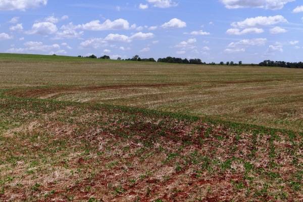 Dia de Campo de Conservação de Solos e Água será em propriedade referência de Três de Maio