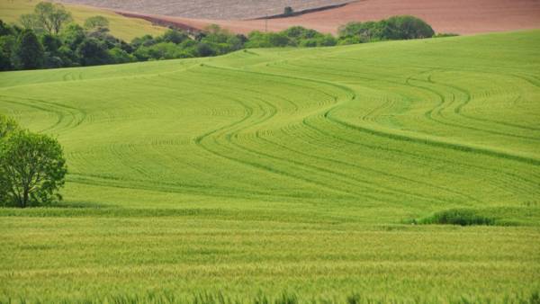 Dia de Campo Estadual de Conservação do Solo e da Água ocorre nesta sexta