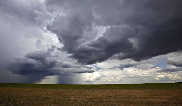 Chuva deste domingo foi mal distribuída nas lavouras de Três de Maio