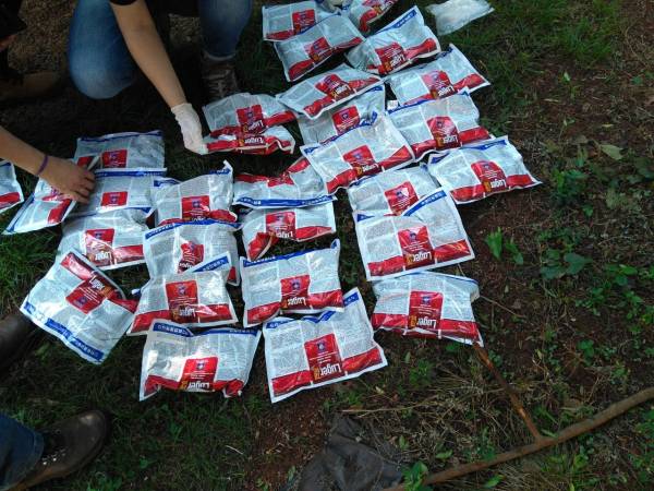 Embalagens de agrotóxico de origem uruguaia são apreendidas em Roque Gonzales