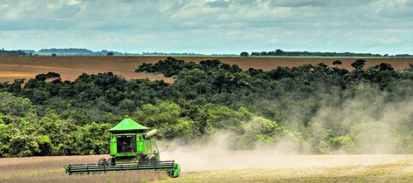 Colheita de soja inicia em T. de Maio nas lavouras de variedades precoces