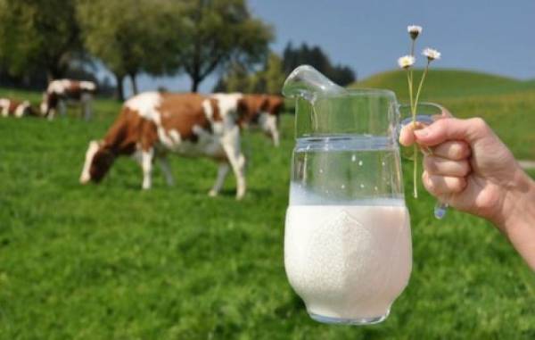 Fetag lança campanha para incentivar consumo de leite