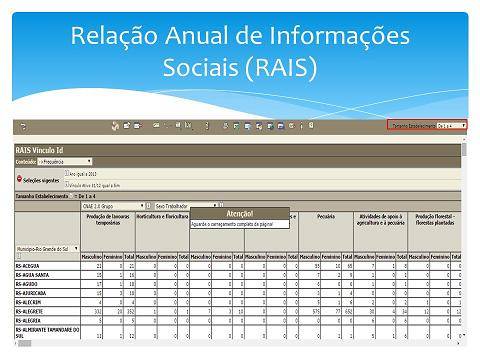 Prazo para entrega da Relação Anual de Informações Sociais termina nesta sexta