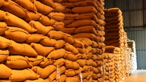 Apesar de preços remuneradores, venda da soja é semelhante a 2017