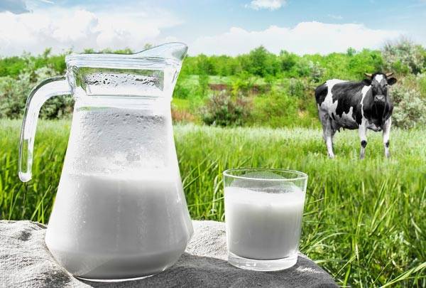 Entressafra eleva valor do leite no Rio Grande do Sul 