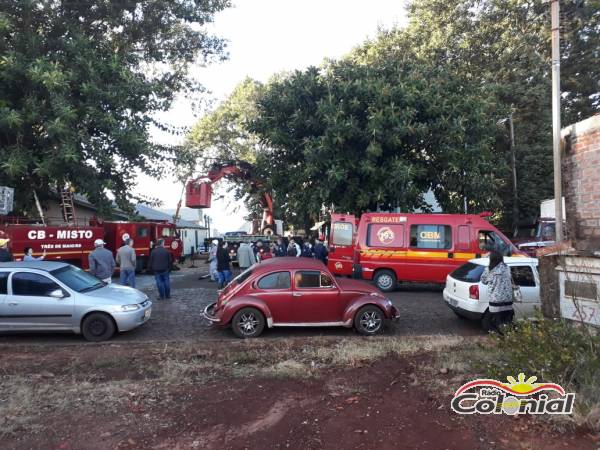 VÍDEO: bombeiros resgatam mulher que subiu em árvore em Três de Maio