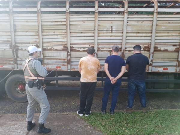 BM prende em Santo Ângelo três homens por estelionato na compra de búfalos em Roque Gonzales