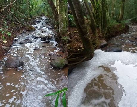 Suspeitas de contaminação em riacho na localidade de Nossa Senhora do Carmo