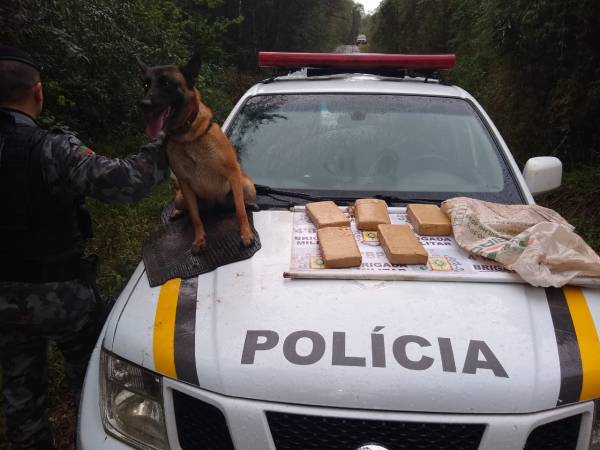 Brigada Militar apreende tabletes de maconha que estavam escondidos num mato, em Alecrim
