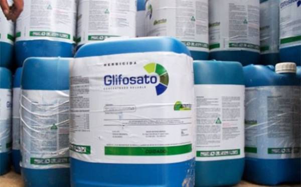 Justiça cassa liminar que proibia uso de glifosato no Brasil, diz ministro