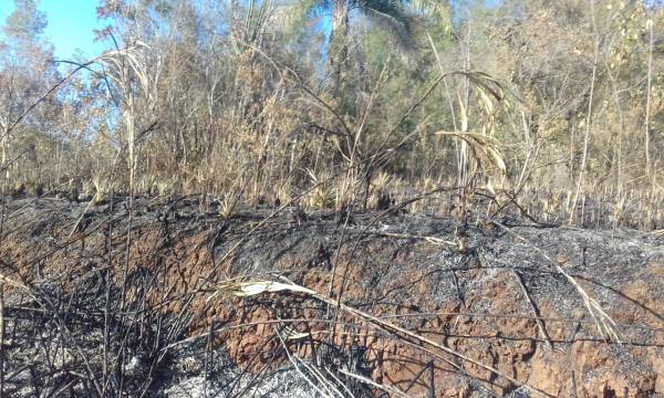 Propriedade rural é alvo de incêndio criminoso no interior de Independência
