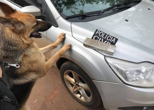 Policia Civil de Santo Ângelo realiza operação contra o tráfico de drogas