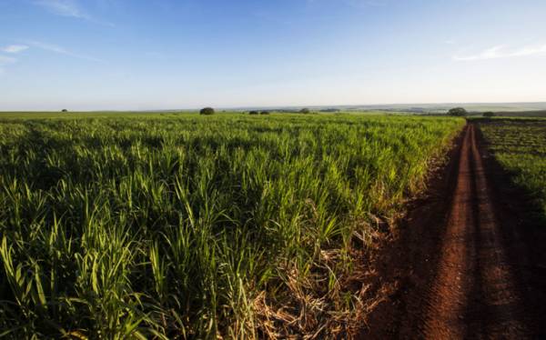 Prazo para produtor rural declarar ITR termina hoje