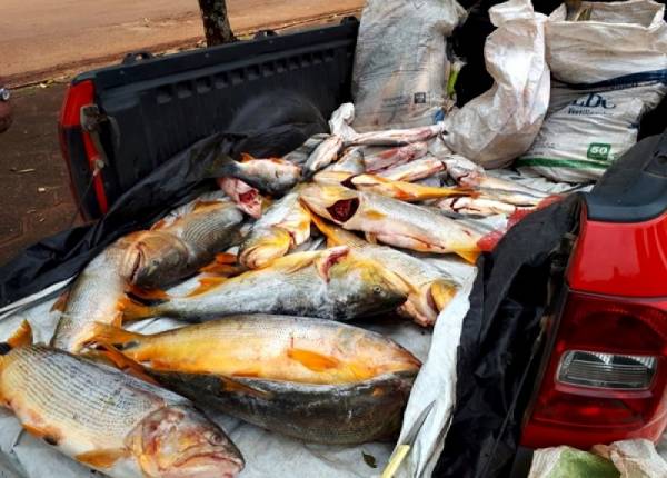 Brigada Militar apreende 200kg de peixe em São Nicolau