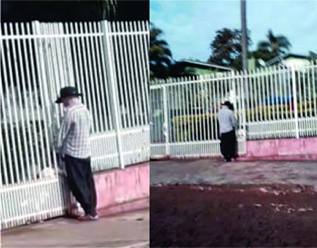 Homem é flagrado em suposto abuso sexual contra animal em Ijuí