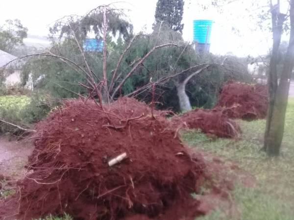 Vendaval localizado deixa rastro de destruição no interior de Horizontina