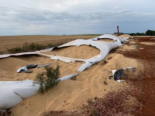Criminosos furtam soja de silo bolsa em Entre-Ijuís