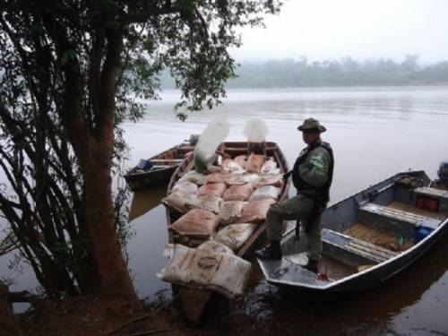 Soja de origem argentina foi apreendida no interior de Tiradentes do Sul