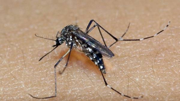 Novo caso de dengue é registrado na região Noroeste 