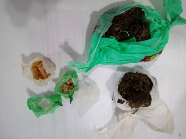 Apenada que teve saída autorizada retorna ao presídio com drogas, em são Luiz Gonzaga