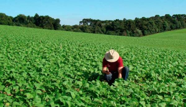 Reforma da Previdência prevê idade mínima de 60 anos para homens e mulheres na aposentadoria rural