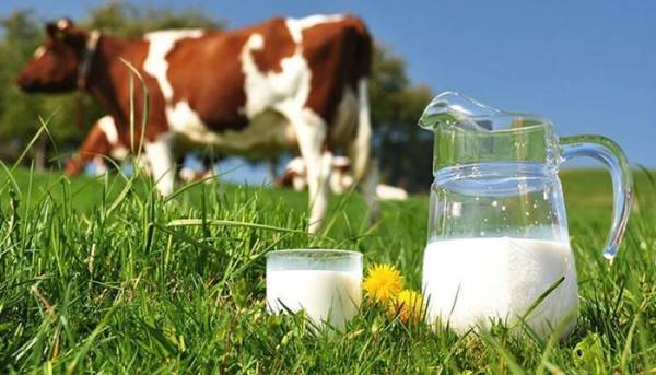 Preço do leite reage depois de cinco meses de queda