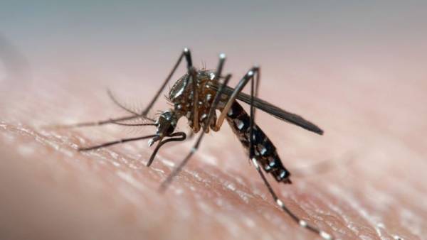Estado tem cinco novos casos autóctones de dengue