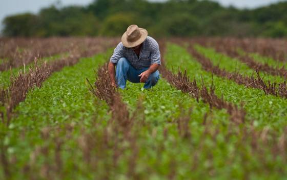 Produtor rural terá de aderir ao eSocial até 10 de abril