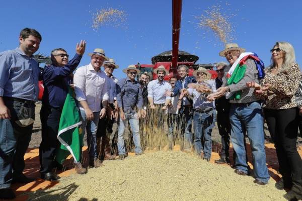 Estado abre colheita de uma das maiores safras de soja da história