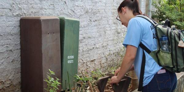 Santa Rosa confirma sete casos de dengue em 2019