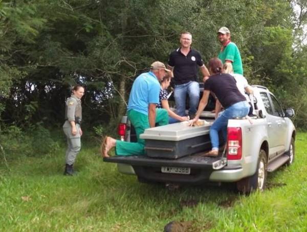 Cadáver encontrado próximo de mato pode ser de Ezequiel Trindade