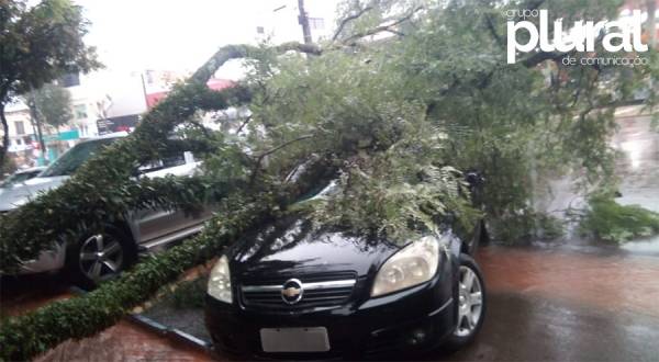 Árvore cai sobre veículo no centro de Santa Rosa