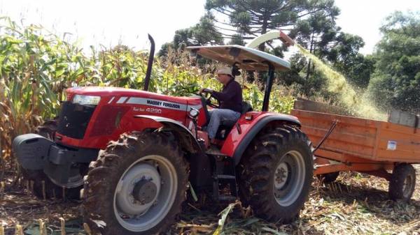 Governo federal suspende 4,8 mil declarações de agricultores familiares