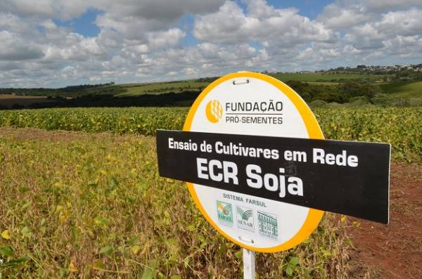 Divulgadas as cultivares campeãs de produtividade no RS