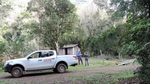 Municípios têm até fim de agosto para concluir censo vacinal de febre amarela nas áreas rurais