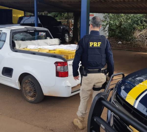 PRF apreende mais de meia tonelada de alimentos transportados irregularmente em Sarandi