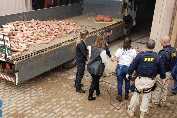 Homem preso com 1,3 mil quilos de maconha em Frederico Westphalen é solto