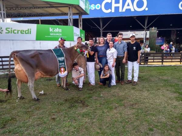 Cabanha de Santa Rosa leva o bicampeonato da raça Jersey