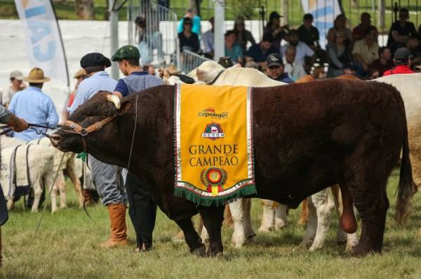 O desfile dos campeões da Expointer 2019