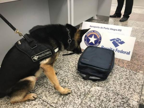Argentina é presa com mais de 13 quilos de drogas sintéticas no aeroporto de Porto Alegre