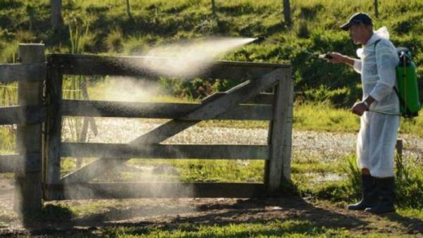 Secretaria Estadual da Agricultura toma medidas para conter casos de mormo no Rio Grande do Sul